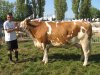 montigny2011 deborah cj